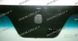 Лобовое стекло Hyundai Santa FE (Внедорожник) (2006-2010) 104841-CH фото 3