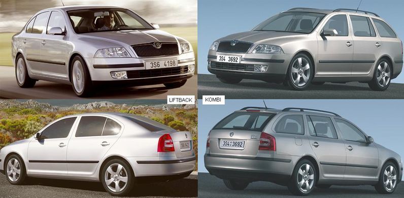 Амортизатор Багажника (Combi) SKODA OCTAVIA 05-09 (A5) P-021193 фото